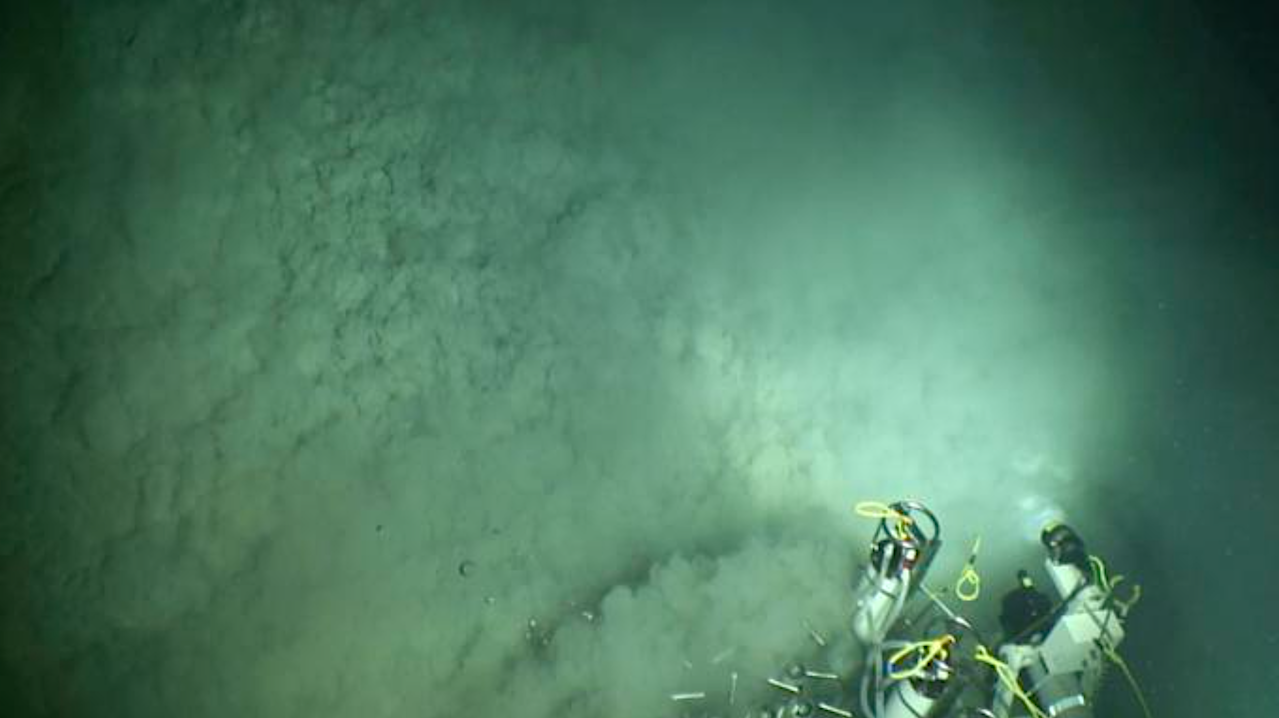 Insights From The First Global Appraisal Of Microbiomes In Earth’s Subsurface Environments