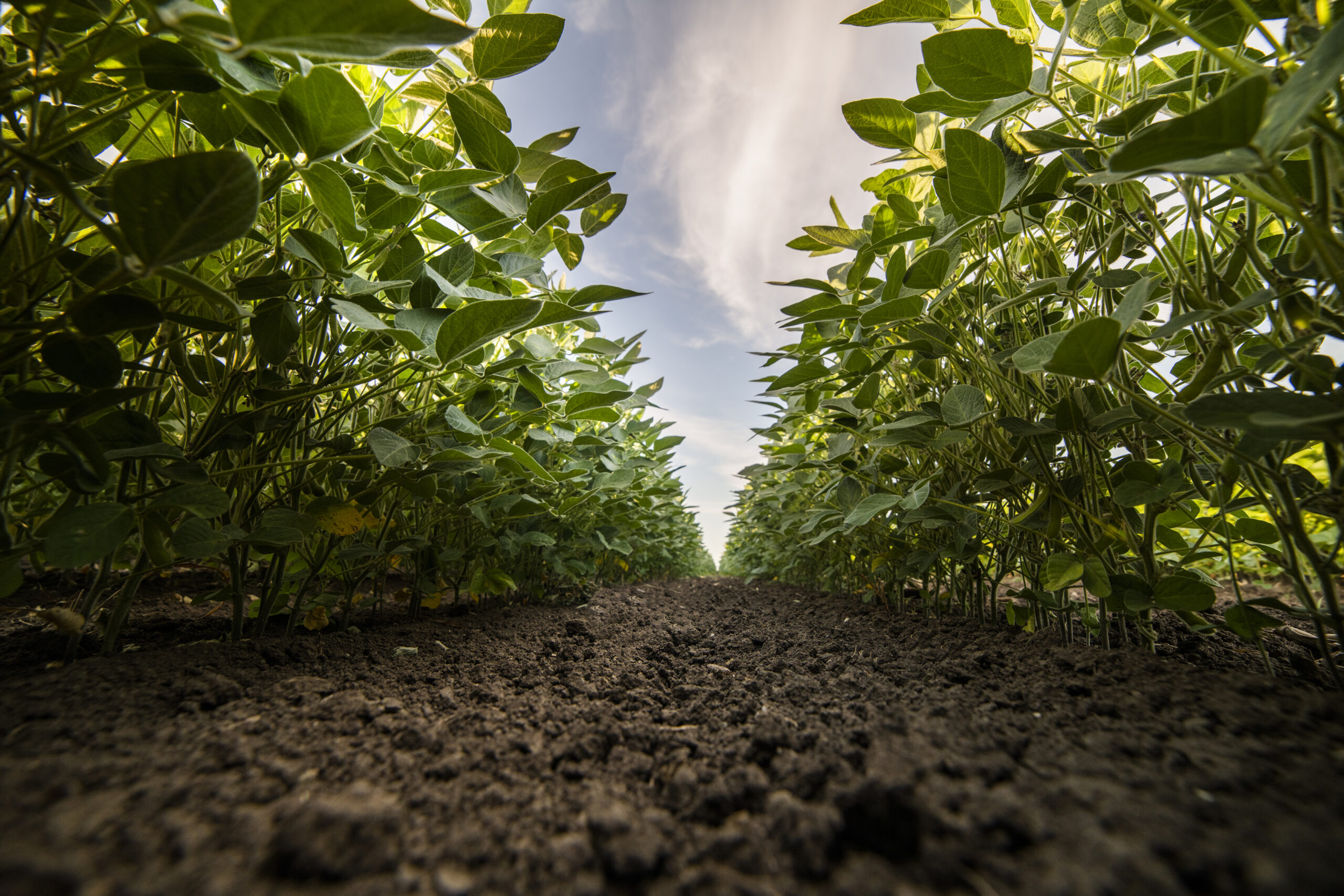 Landus Creates New Premium Opportunities with Clean Fuel Regulation Initiative
