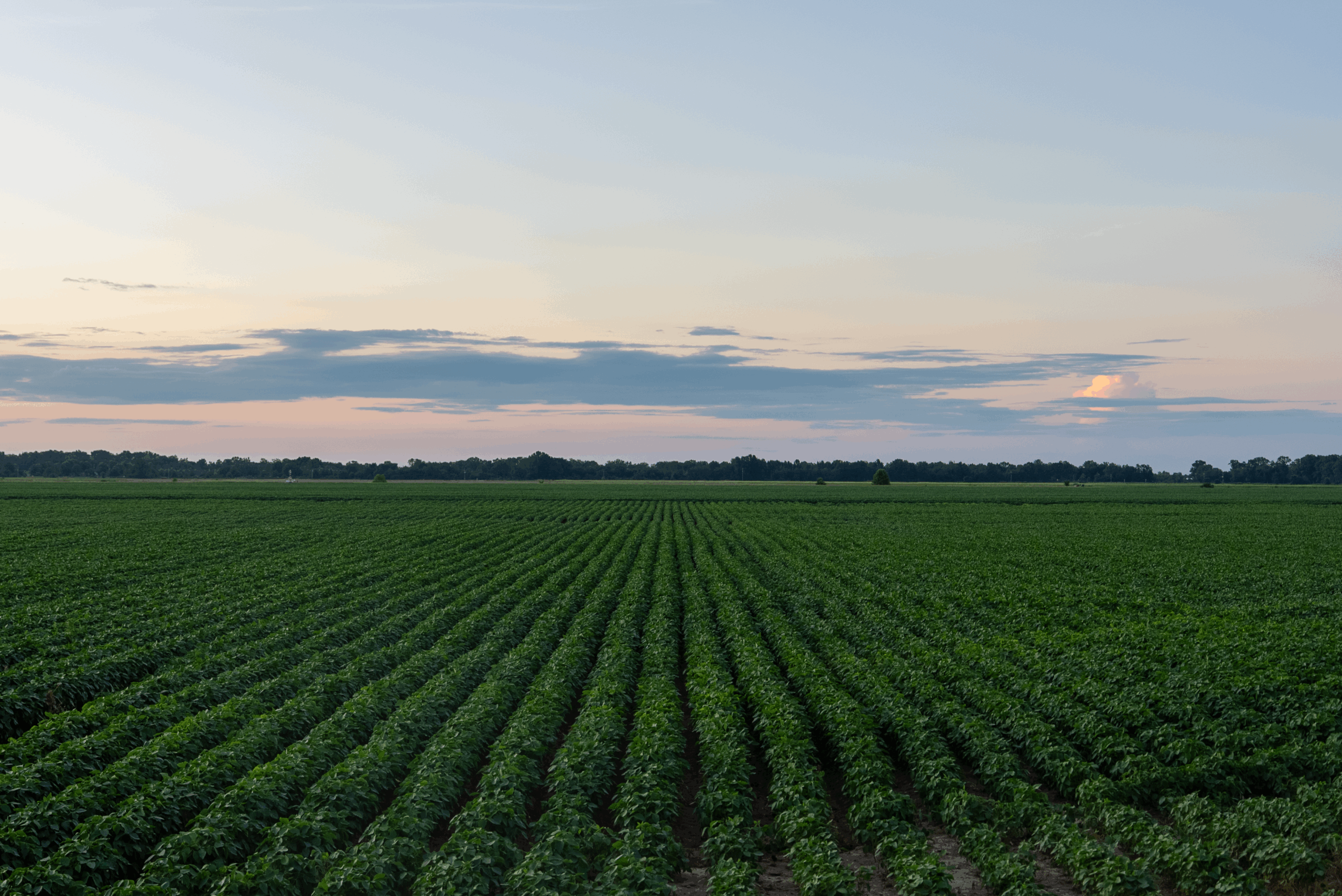 Building the GHG accounting toolbox: Arva scales payouts for regenerative ag – Feature in AgFunder