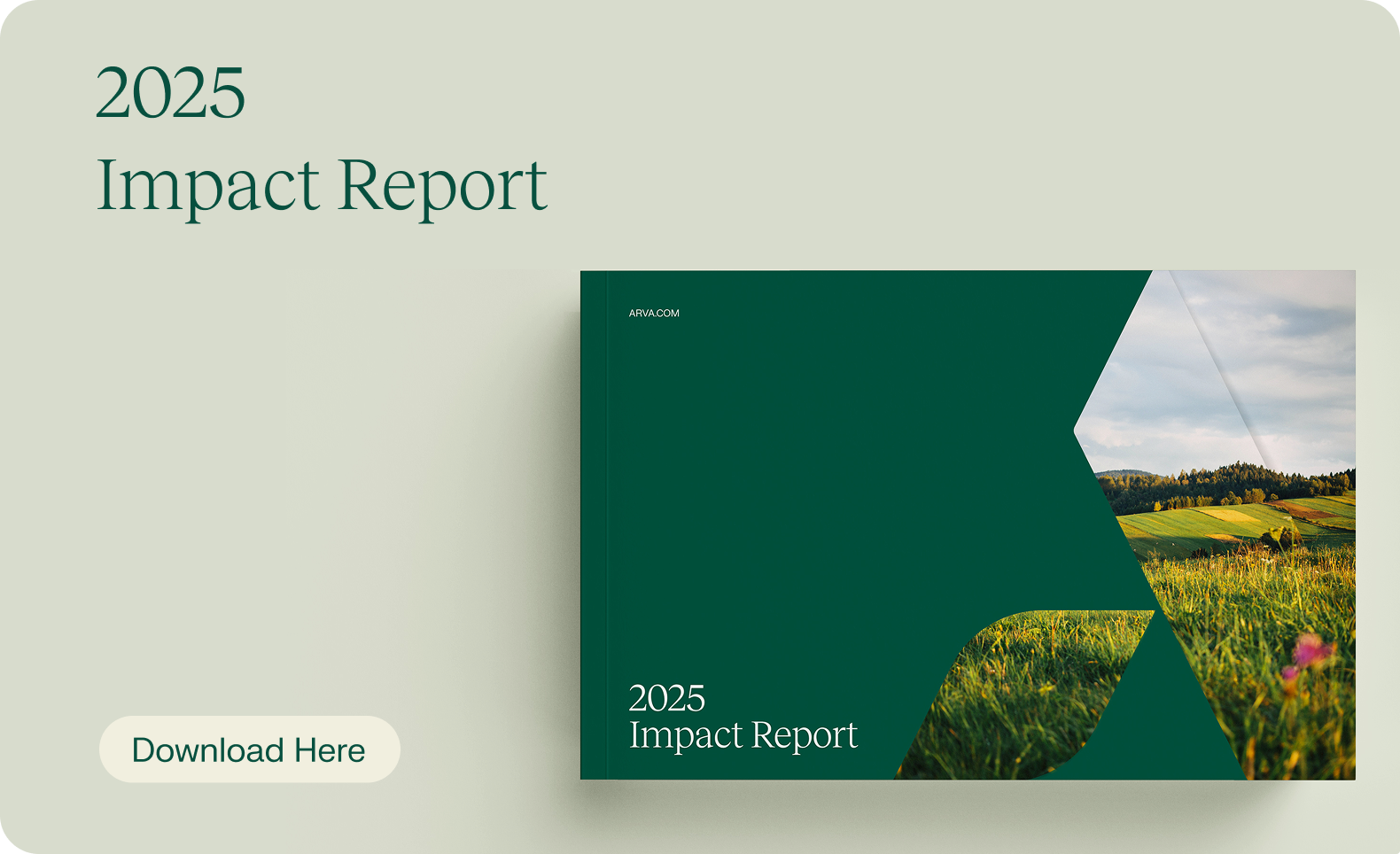 2025 Impact Report